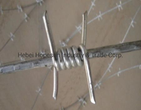 Hot Dipped Galvanized and PVC Coated Barbed Wire