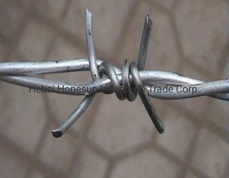 Hot Dipped Galvanized and PVC Coated Barbed Wire