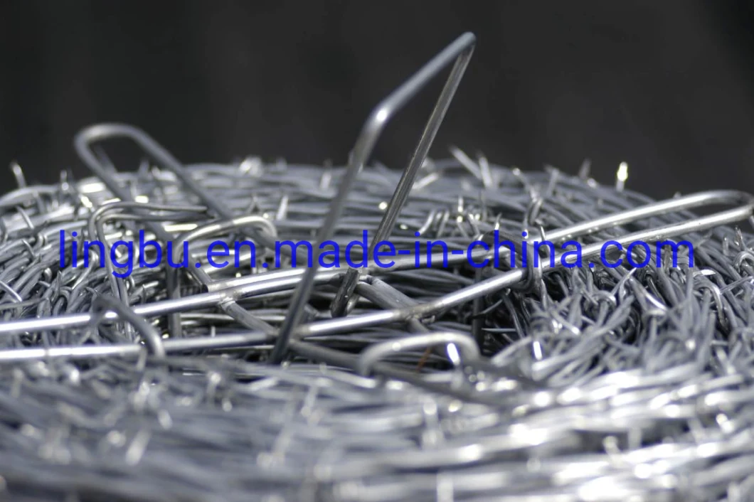 High Tensile Galvanized Barbed Wire for Agriculture Fence and Land Boundaries