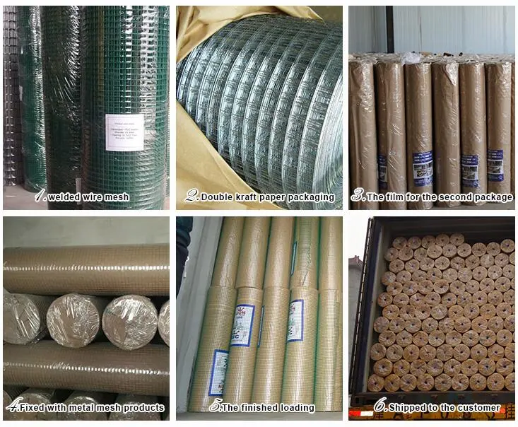 Galvanized Welded Wire Mesh with Firmly Structure and Flat Surface