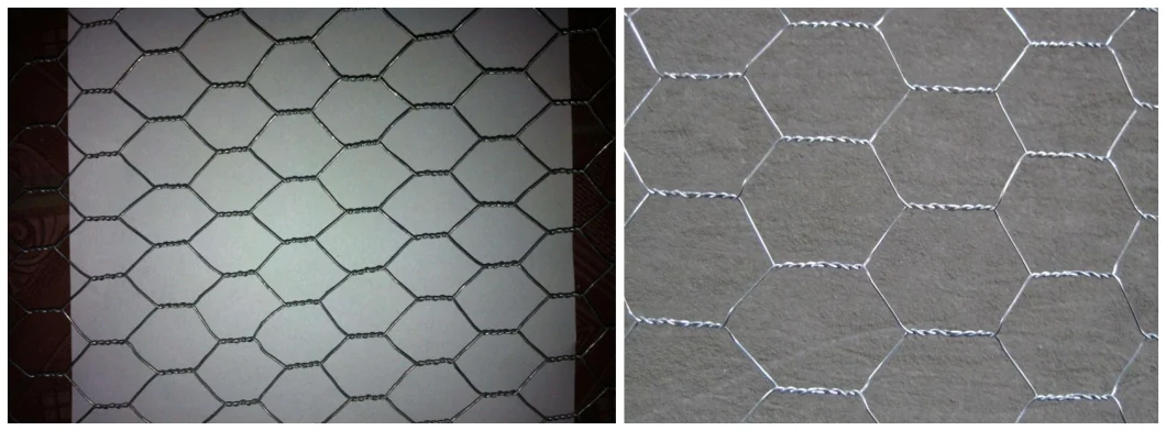 PVC Coated Galvanized Hexagonal Chicken Wire Mesh Wire Netting Gabion Mesh