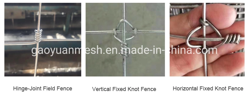 Field Fence Hot Dipped Galvanized Feild Fence Farm Fence Cattle Fenceing Price