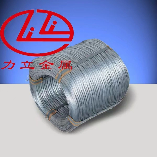 Steel Wire 0.15-15.0mm (Iron Wire&Iron Mesh&Steel Mesh&Steel Wire&Binding Wire&Annealed Wire&Barbed Wire)