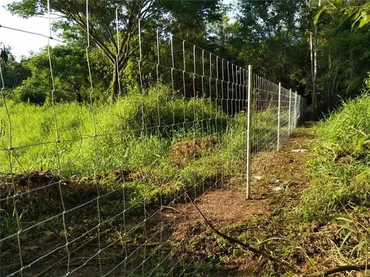 Corrosion Resistant Veldspan Wire Mesh in Farm Field Fence