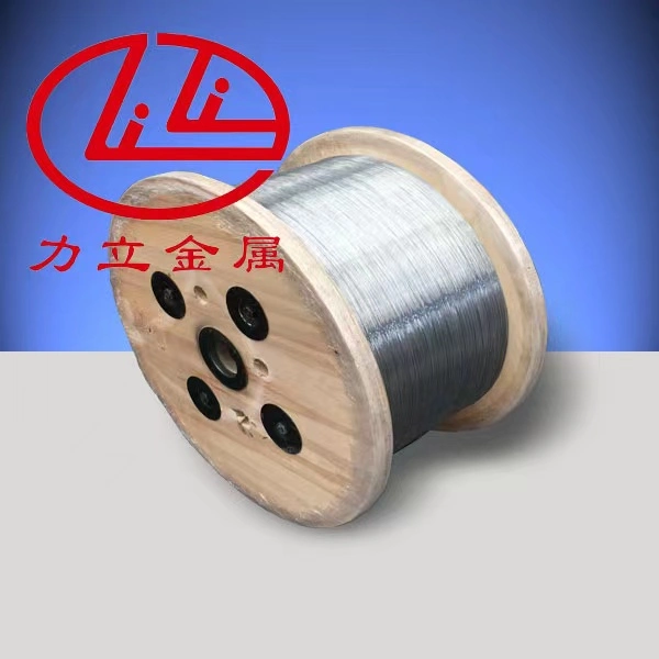 Steel Wire 0.15-15.0mm (Iron Wire&Iron Mesh&Steel Mesh&Steel Wire&Binding Wire&Annealed Wire&Barbed Wire)