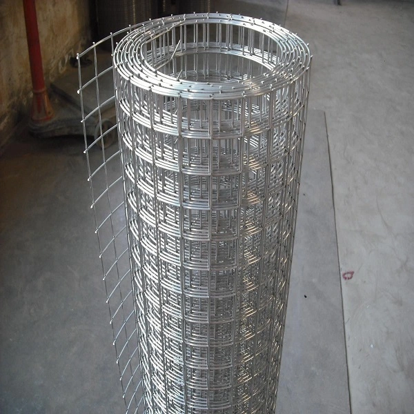 Hot Dipped Galvanized Welded Wire Mesh 1/2&quot; 3/4&quot; Animal Fence Net Bird Cage Mesh Rabbit Mesh Roof Mesh for Agriculture for Poultry Welded Wire Mesh