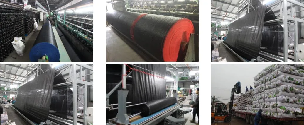 China Factory 40%-95% Shade Rate Black Green Shade Cloth HDPE Shade Nets for Plants /Vegetables/Greenhouse/Garden/Outdoor/Farming/Car Park/Pool