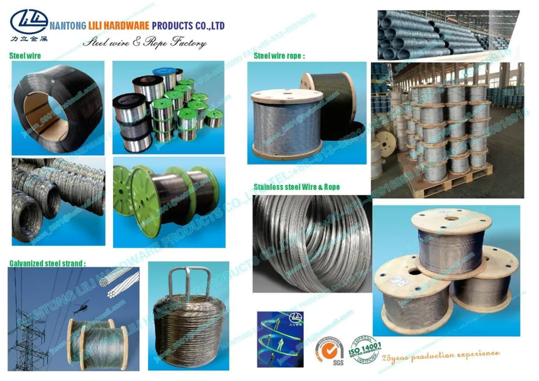 Steel Wire 0.15-15.0mm (Iron Wire&Iron Mesh&Steel Mesh&Steel Wire&Binding Wire&Annealed Wire&Barbed Wire)