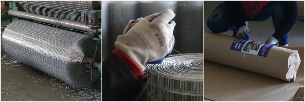 3/4&quot;Inch Galvanized Welded Wire Mesh Fence PVC Coated Welded Rabbit Cage Wire Mesh Prices