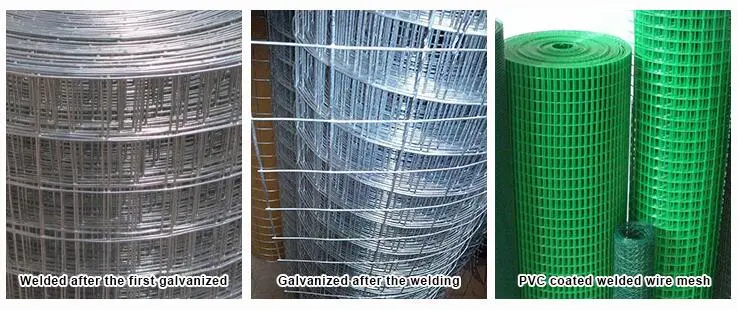 Galvanized Welded Wire Mesh with Firmly Structure and Flat Surface