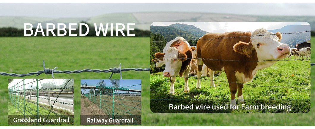 PE Barbed Mesh Fence Corrosion Resistant PVC Coated Barbed Wire with ISO for Secure The Top of The Walls