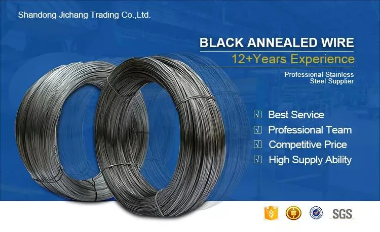 Factory Annealed Iron Wire Black Iron Wire D 0.3mm 0.5mm 2mm Black Bulk Annealed Wire Manufacturer