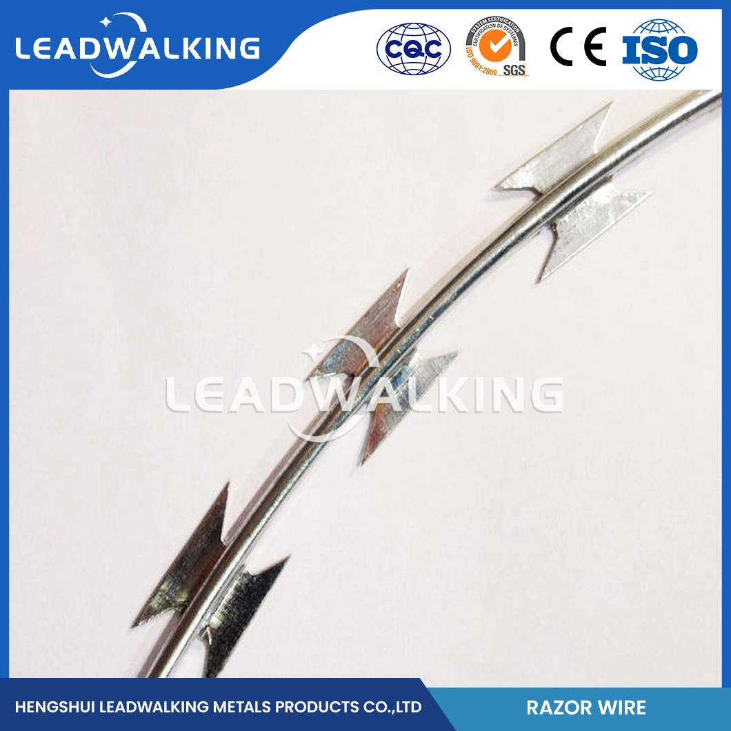 Leadwalking 200m Barbed Wire Wholesaler 50mm Needle Spacing Boundaries Wall Razor Wire China 3mm Diameter Cheap Razor Wire