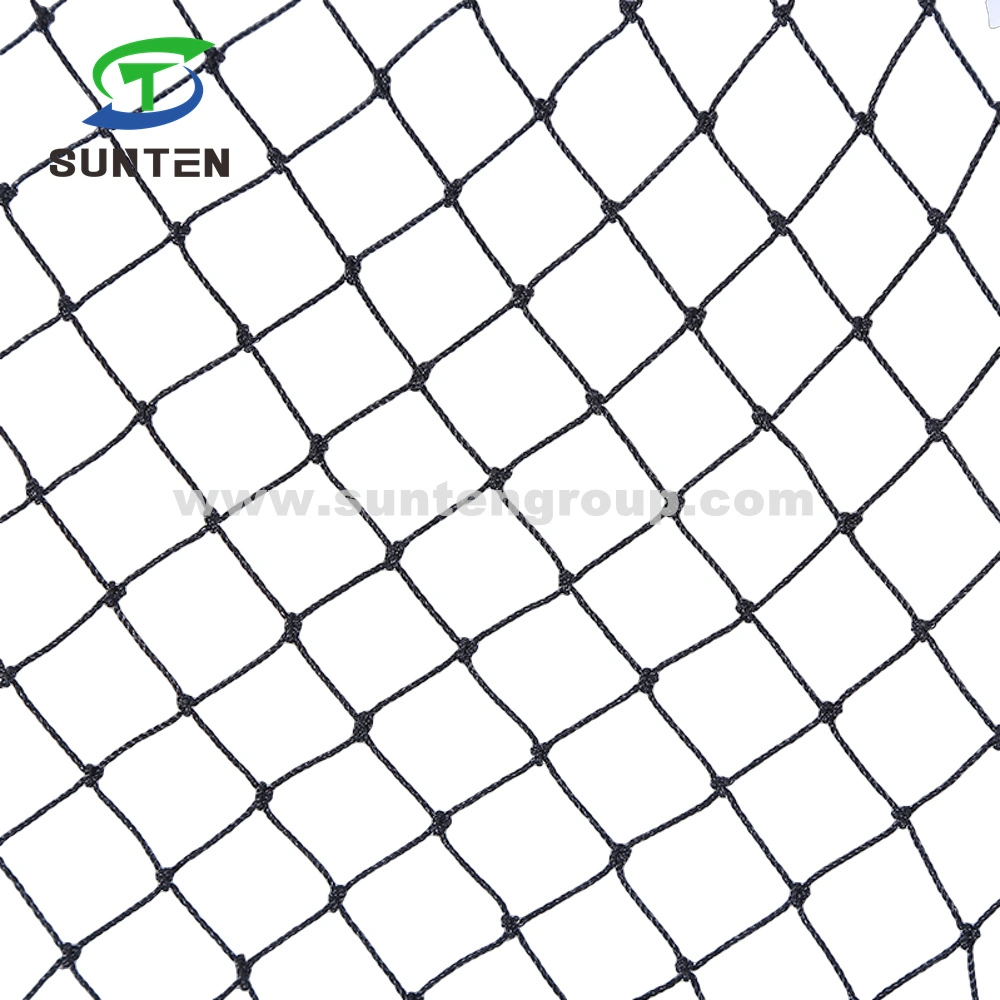 5 Years PE/Nylon/Plastic/PP/Bop/Raschel Agriculture/Garden/Vineyard/Trellis/ Crop Protection/Control Chicken/Trawl/Jellyfish/Seine/Cat/Deer/Pigeon/Bird Net