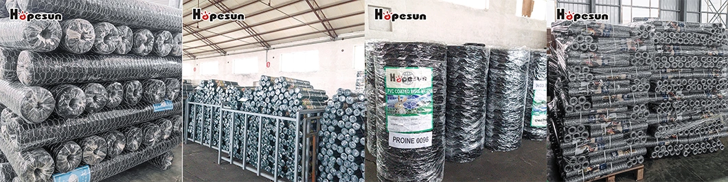 Best-Selling PVC Galvanized Chicken Wire Hexagonal Wire Mesh