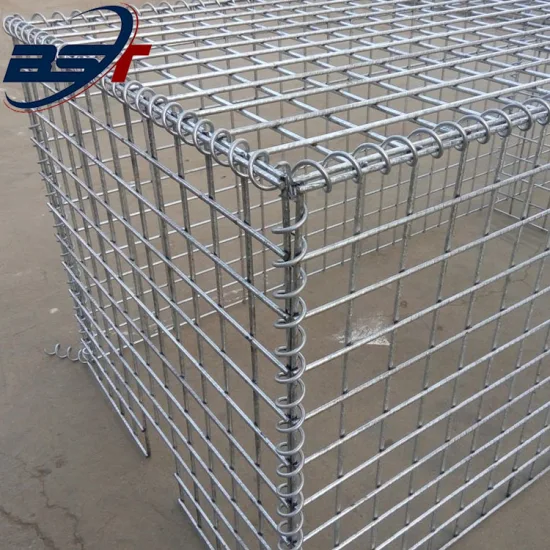 Hooked Mesh Barbedelectric Galvanized Barbed Wire with ISO for Secure The Top of The Walls