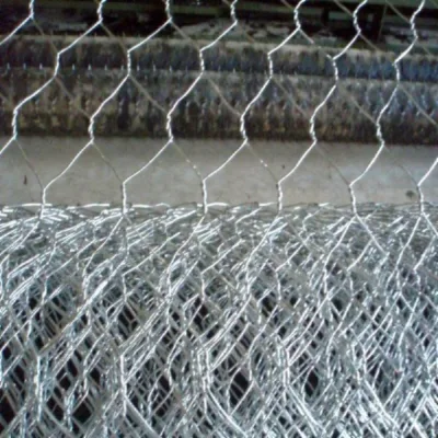 Hot DIP Galvanized or PVC Coated 60X80 Hexagonal Wire Mesh with Factory Price