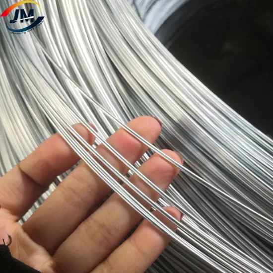 Hot Dipped/Electric Galvanized Mild Steel Binding Wire/Black Annealed Iron Tie Wire Bright Florist Cut Stainless Steel Spool for Construction/Building Material