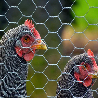 Chicken Wire Netting Galvanized Mesh Hexagonal Wire Mesh