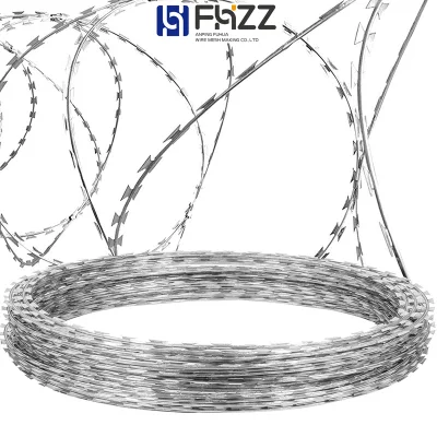 Hot Galv. Security Fence /Razor Barbed Wire for Wall or Borderline