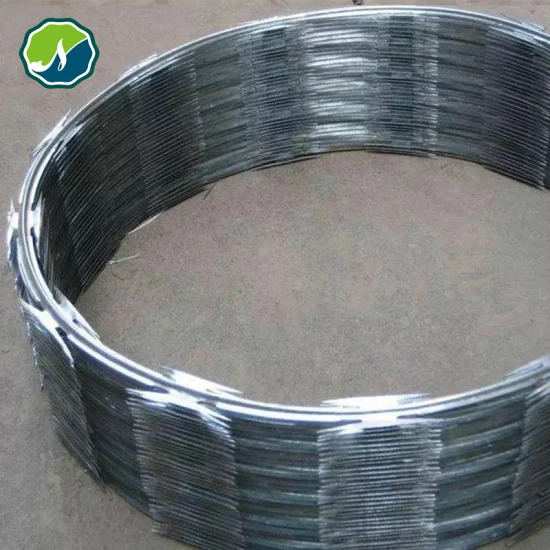 Galvanized PVC Stainless Steel Concertina Razor Barbed Wire Bto-22 Bto-60 Cbt-65 Fencing Wire Price