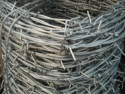 Hot Dipped Stainless Galvanized and PVC Coated Barbed Wire