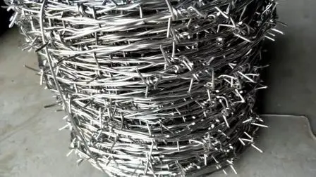 Yaqi Hot-Dipped Galvanized /Powder Coated Wall Spikes /Razor Wire/Barbed Wire