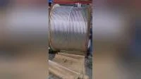 Small Coil Black Annealed Double Twist Iron Binding Wire (LT-126)