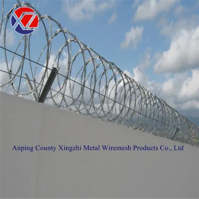 Anti Wall Climbing Security Wall Spikes Razor Barbed Wire