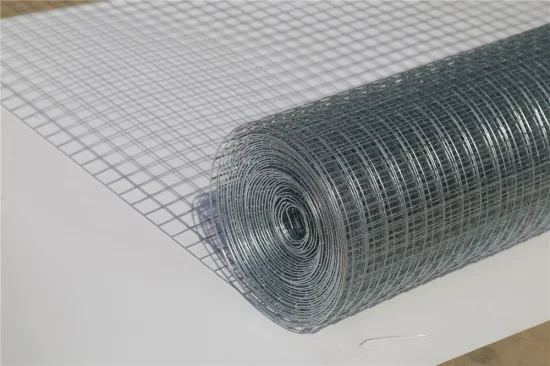 Galvanized Wire Mesh Rolls Welded Wire Mesh Sheet