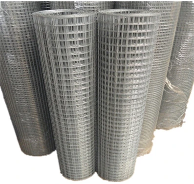 Galvanized / Plastic Coated / Protective / Welding / Hexagonal / Steel Wire Mesh