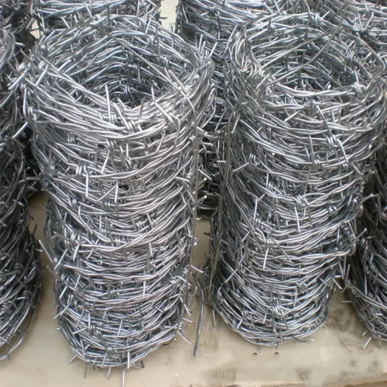 Wholesale Factory Hot DIP Galvanized Barbed Security Wire Barrier Wall Fence Barbed Wire