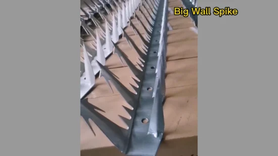 Anti Climb Wall Spikes and Razor Barbed Wire