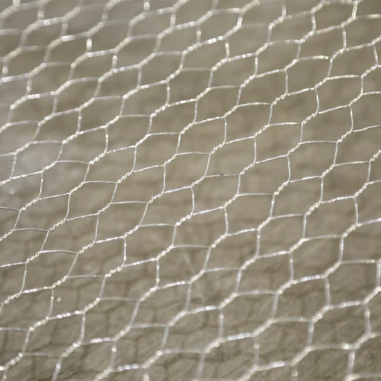 Hexagonal Wire Mesh/Galvanized Wire Mesh