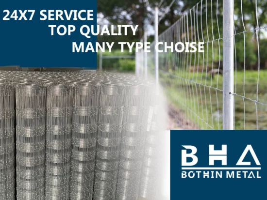 Factory Suppliers Galvanized Wire Mesh Roll Farm Fence