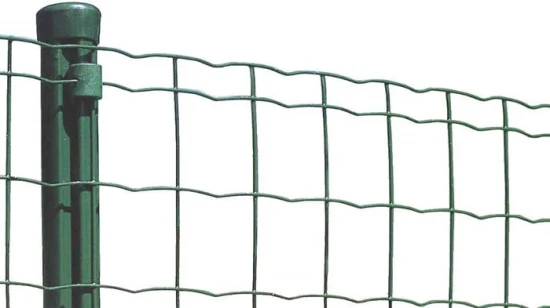 PVC Coated Garden Holland Wire Mesh Euro Fence Dutch/Wave Welded Mesh