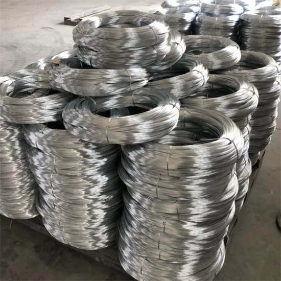 Hot/Electro DIP Galvanized Steel Wire Low Carbon Iron Wire for Mesh Carbon Steel Wire